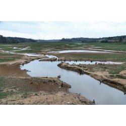 Rodízio no abastecimento de água atinge regiões da Ferraria